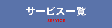 service-main-text