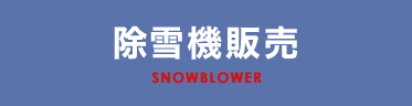 snow-main-text